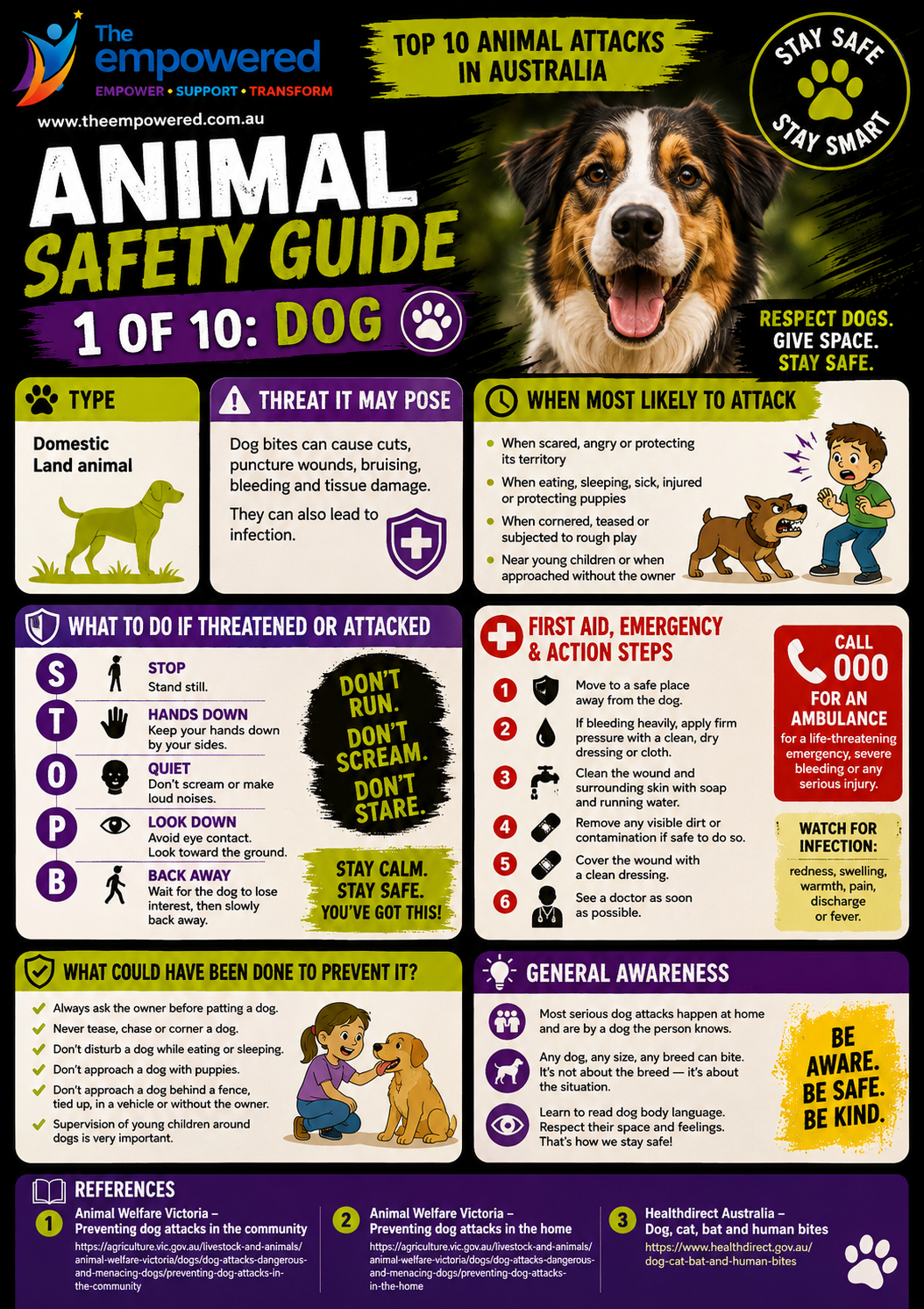 Dog safety lesson
