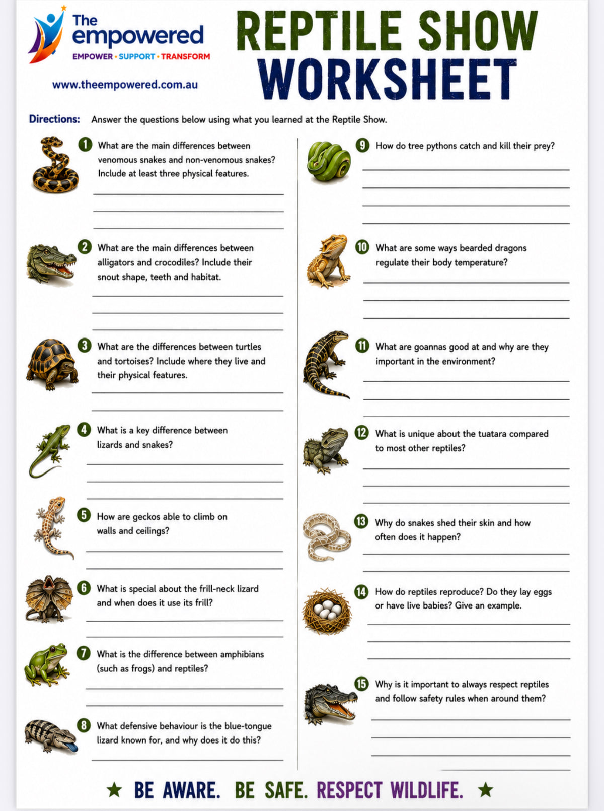 Reptile animals worksheet